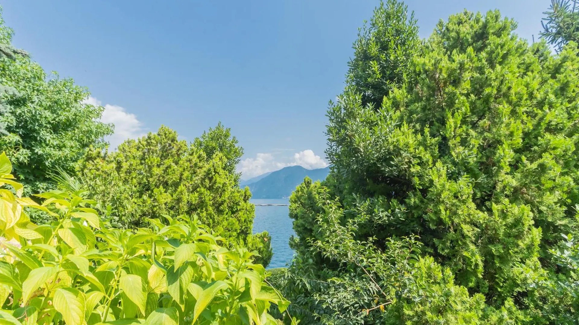 Appartement Lakeview Paradise By Rent All Como Argegno